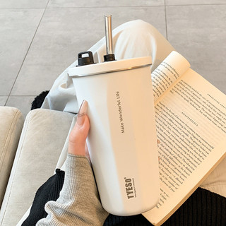 Ly giữ nhiệt TYESO 600ml kèm ống hút, bình giữ nhiệt cao cấp vỏ chống xước