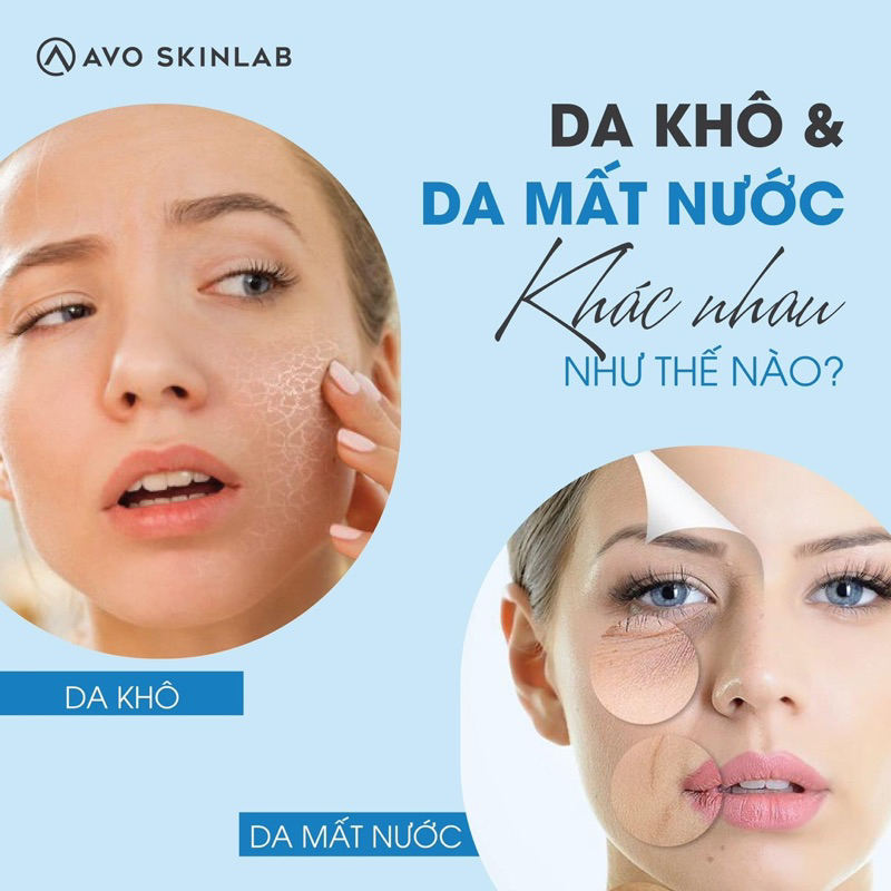 Serum HA B5 Avo Skinlab cấp ẩm phục hồi cho da sáng khoẻ tự nhiên