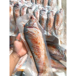 cá thát lát rút xương (con)