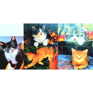 5 postcard 😻🐶 liksin "cũ"