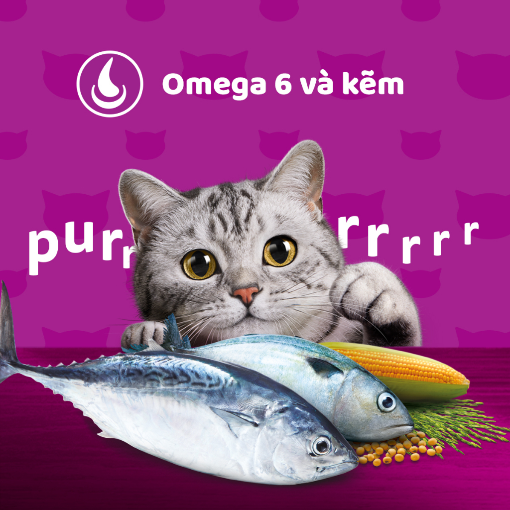 Thức ăn cho mèo con WHISKAS dạng hạt vị cá biển, 1,1 kg.