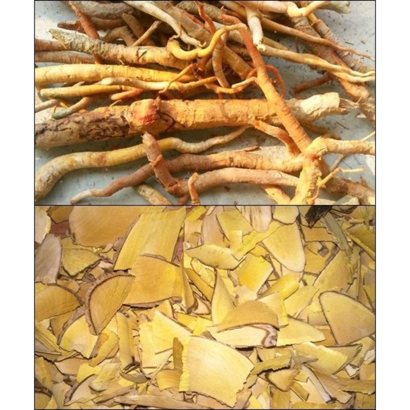 1kg Mật nhân rễ ngâm rượu siêu siêu đắng