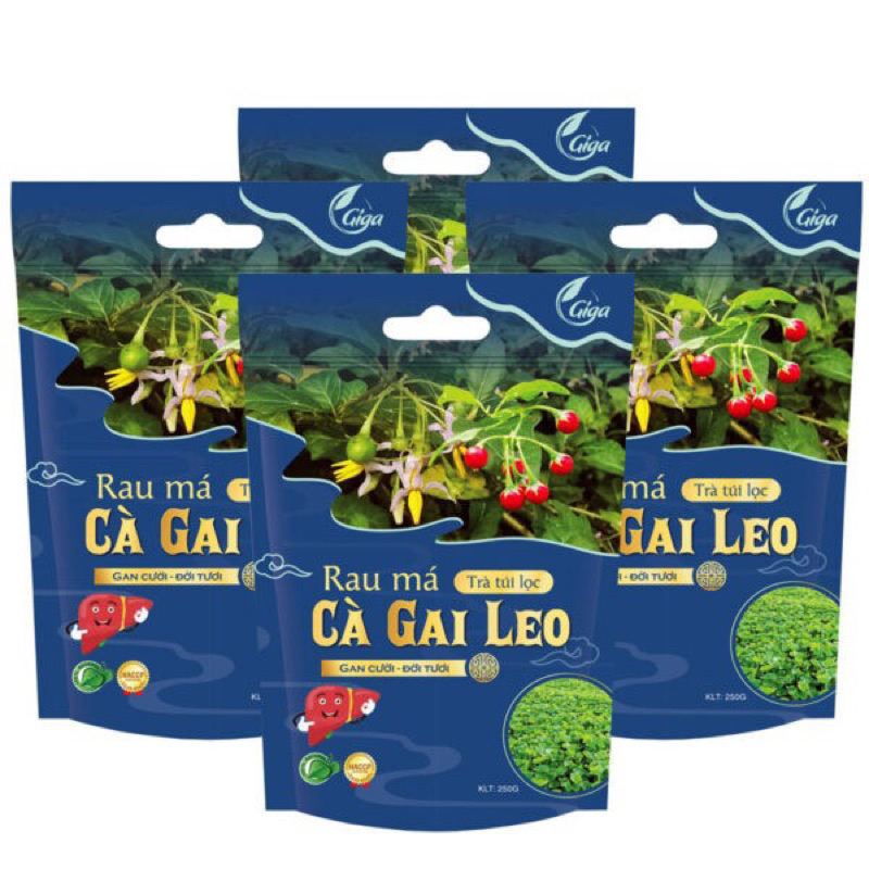 Trà Cà gai leo rau má GiGa - hỗ trợ giải độc gan, hạ men gan, thanh lọc cơ thể