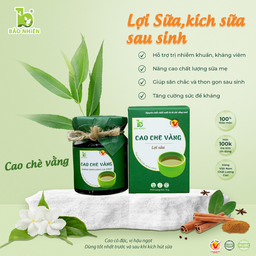 Cao chè vằng - lợi sữa Bảo Nhiên