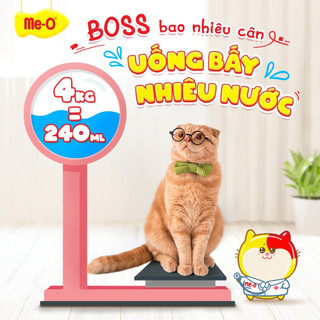 Me-O 3kg - Thức ăn hạt cho mèo __