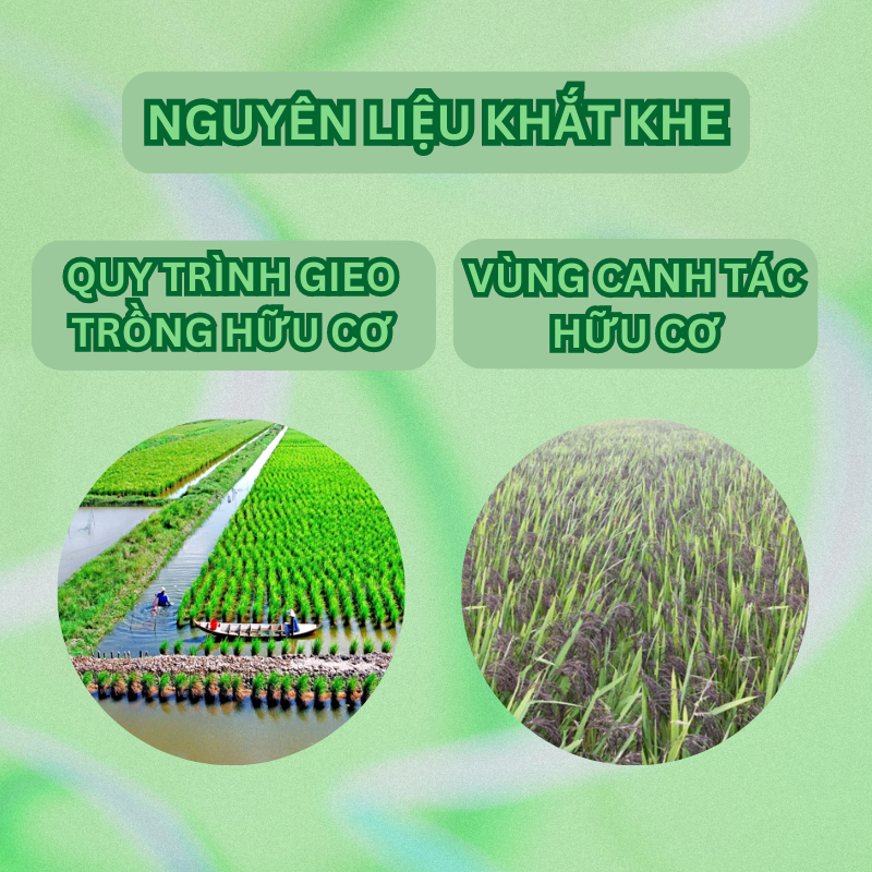 Gạo lứt đen hữu cơ ăn kiêng giảm cân healthy eatclean thực dưỡng 500g 1kg - onfod