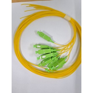 Dây pigtail dây hàn quang SC/APC, Singlemode giá chưa vat