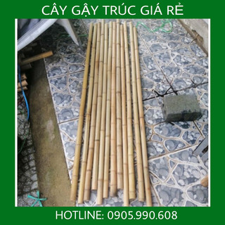 Comboo 5 Cây gậy trúc làm mành tre dài 1.5m - 2m. Cây trúc tre làm hàng rào trang trí.