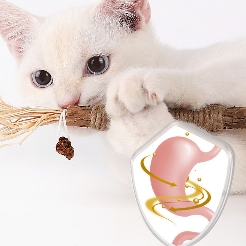 QUE GỖ CATNIP LÔNG GÀ CHO MÈO, CÓ CHUÔNG GIÚP MÈO MÀI RĂNG, SNACK MÈO