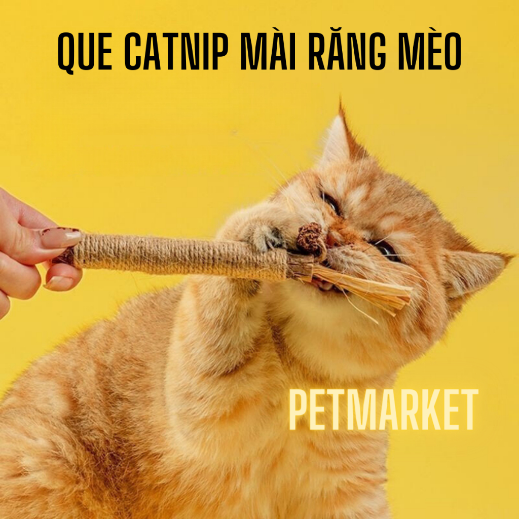 QUE GỖ CATNIP LÔNG GÀ CHO MÈO, CÓ CHUÔNG GIÚP MÈO MÀI RĂNG, SNACK MÈO