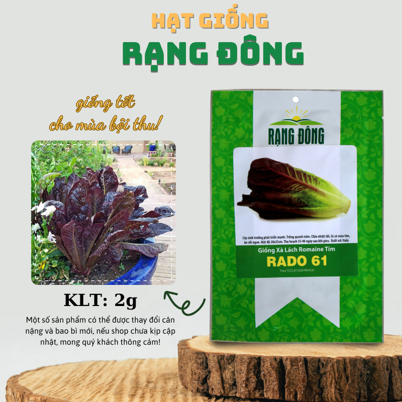 Hạt giống Xà Lách Romaine Tím dễ trồng, giàu dinh dưỡng, sinh trưởng khỏe (gói 2 gr) - Hạt giống Rạng Đông