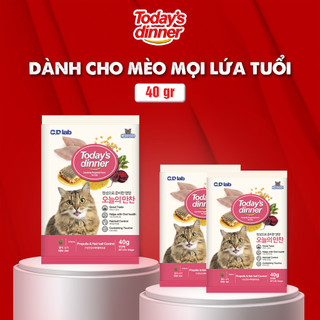Thức ăn cho mèo TODAY'S DINNER mọi lứa tuổi 40g, thức ăn hạt khô nhập khẩu Hàn Quốc