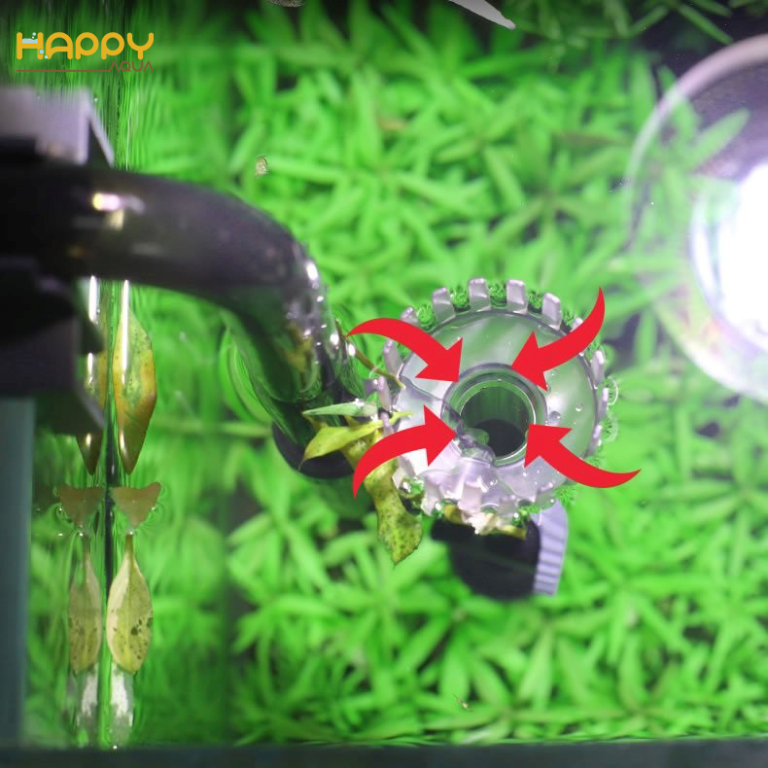 Máy Lọc Thùng Xiaoli Sunsun XWA 800-5 và XWA 1000-5 KYANHKOIFARM