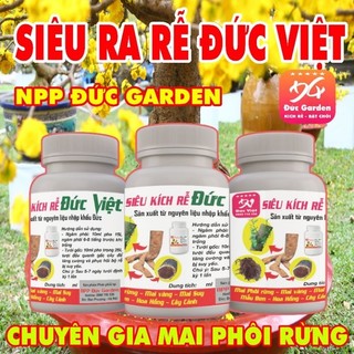 Siêu Kích Rễ Đức Việt Chuyên Mai phôi rừng, mai vàng, mai suy