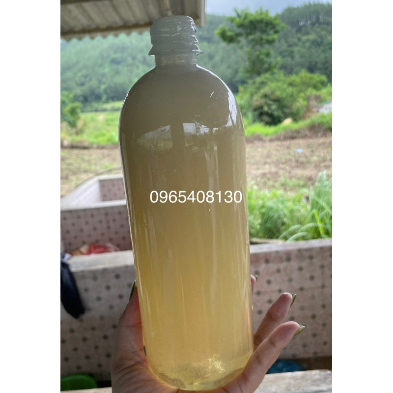 Mật Ong Trắng Vùng Cao