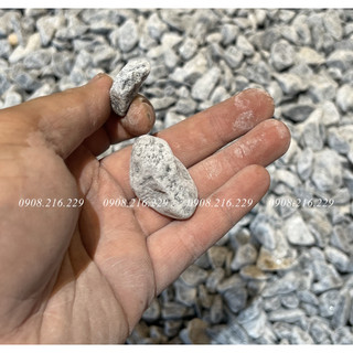 Sỏi xanh rải vườn, quán ăn size nhỏ 5000đ/KG
