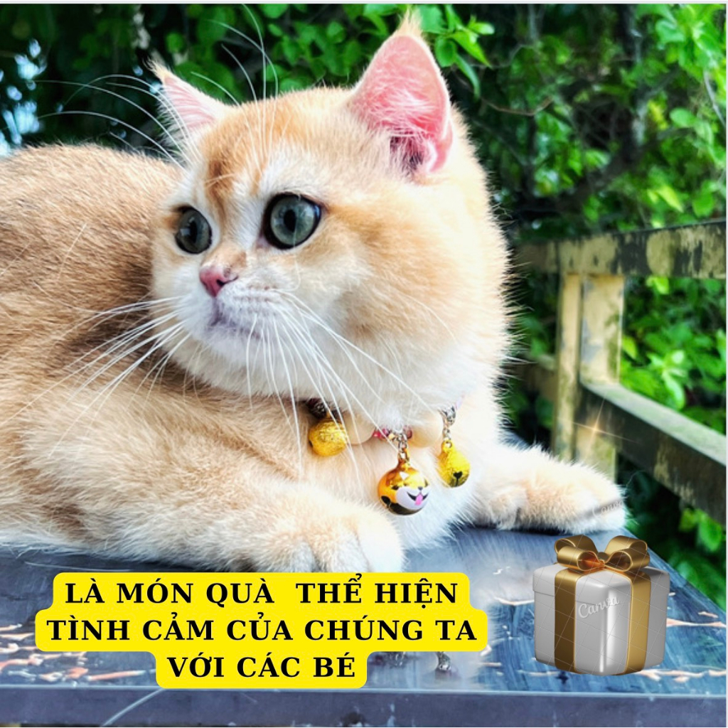 Vòng cổ cho mèo, vòng cho Chó Mèo,mã petmio gỗ,vòng handmade Shop Tự Thiết kế cute cao cấp,có chuông,không sợ nước