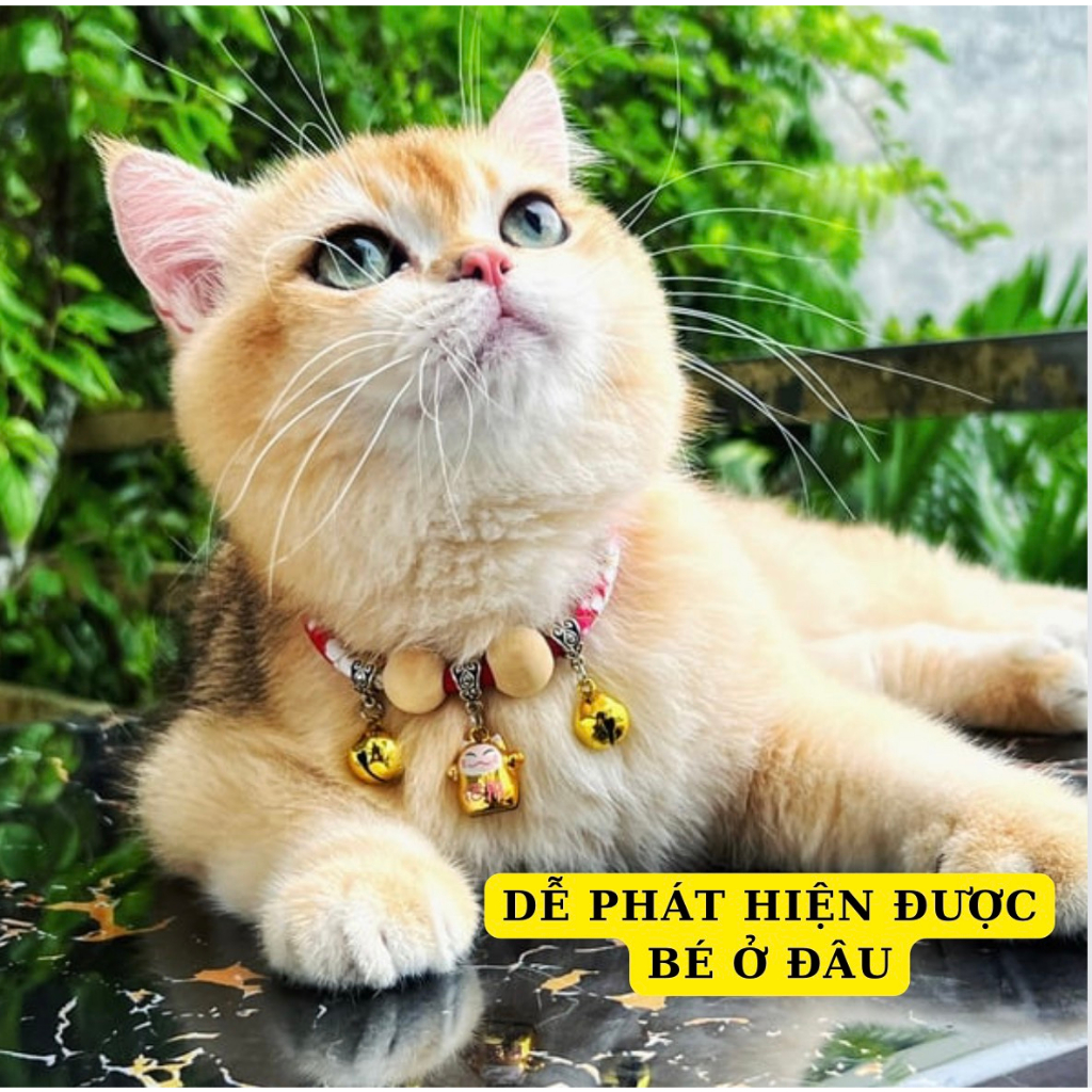 Vòng cổ cho mèo, vòng cho Chó Mèo,mã petmio gỗ,vòng handmade Shop Tự Thiết kế cute cao cấp,có chuông,không sợ nước