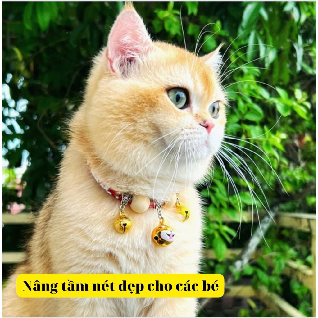 Vòng cổ cho mèo, vòng cho Chó Mèo,mã petmio gỗ,vòng handmade Shop Tự Thiết kế cute cao cấp,có chuông,không sợ nước