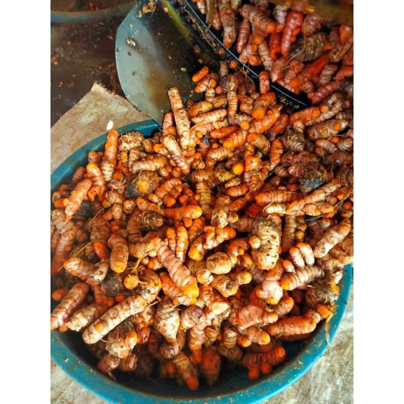 TINH BỘT NGHỆ NGUYÊN CHẤT 100% NHÀ LÀM