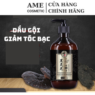 Dầu gội giảm tóc bạc Hà Thủ Ô - Nấm Linh Chi XIUZHENG 300g