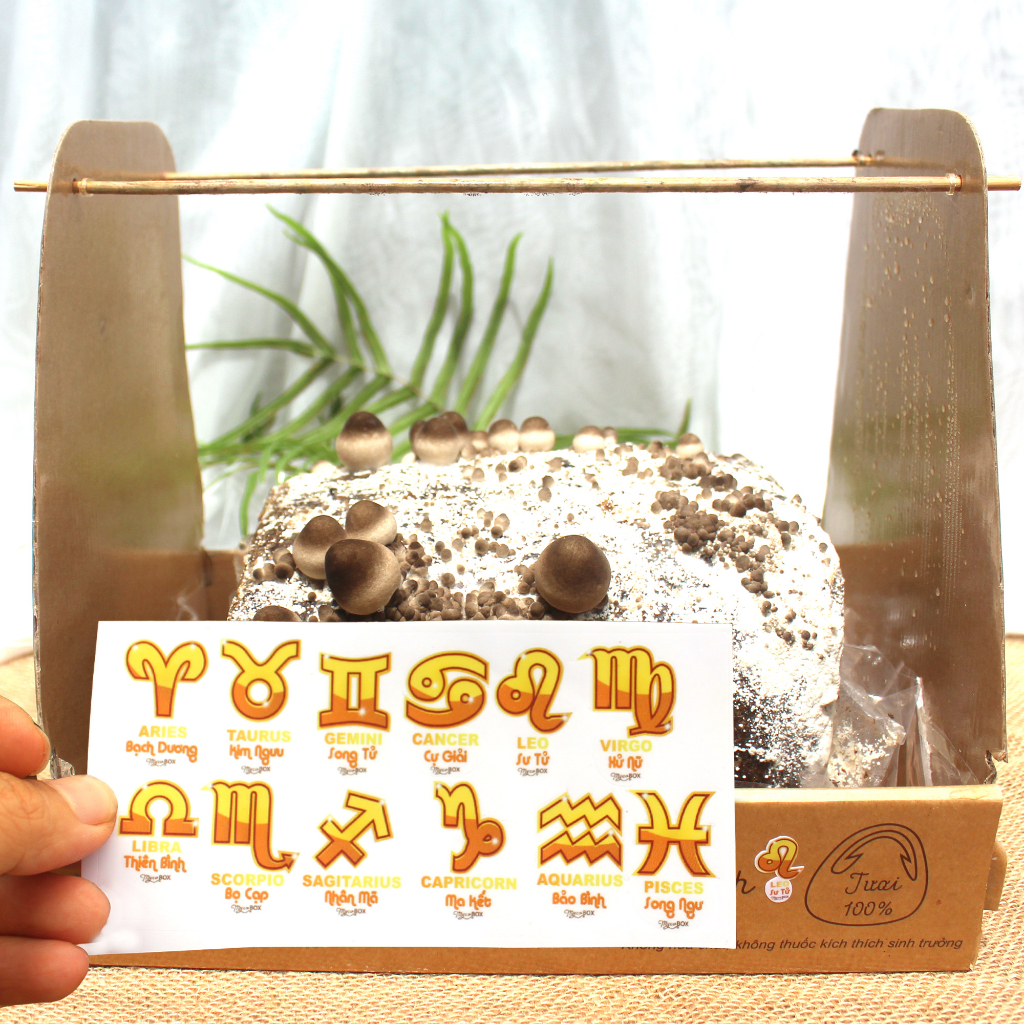 Sticker 12 Cung Hoàng Đạo cho Hộp Trồng Nấm