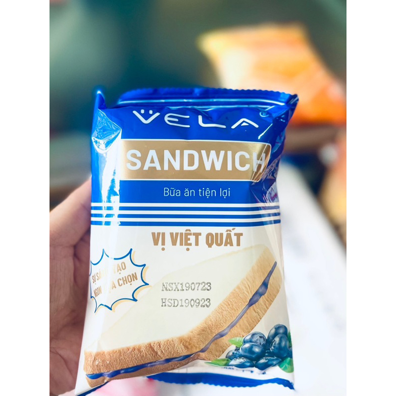 Bánh Vela sandwich 45g các vị date 2 tháng