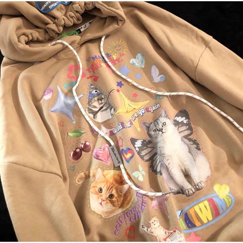 Áo Hoodie Nỉ Bông Y2K Daiwing Màu Sắc