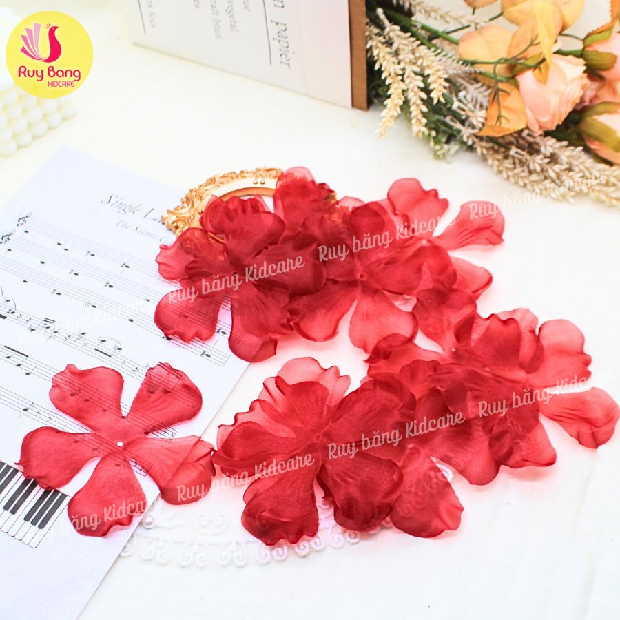 Cánh voan ép cong 10cm