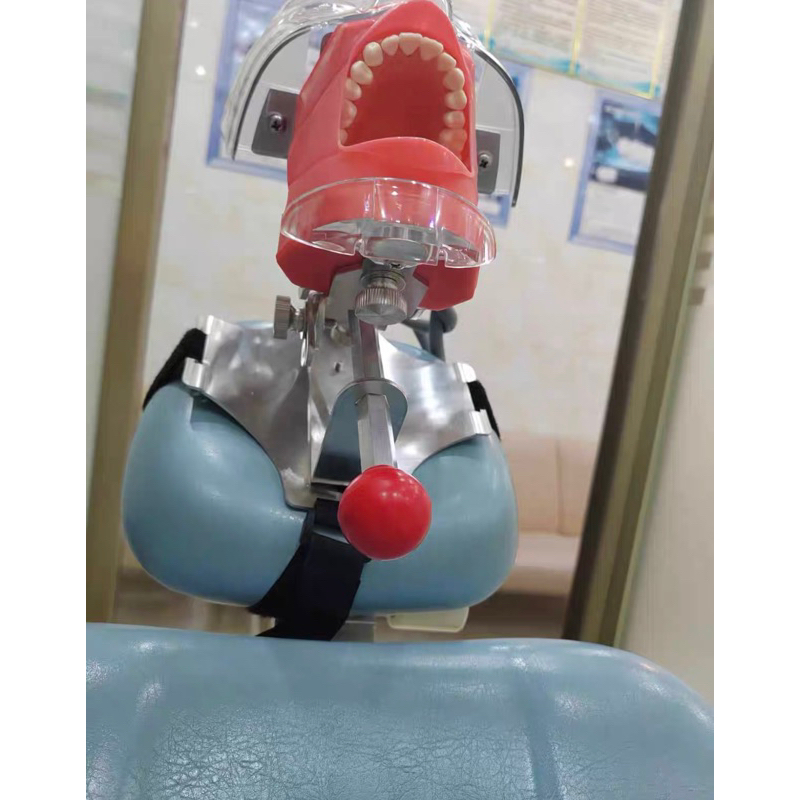 PHANTOM Thực hành nhiều loại, gắn mặt bàn gắn ghế nha khoa