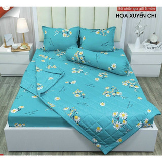 Bộ ga gối 3 món ga chun kèm 2 vỏ gối nằm cotton poly 1m8 _khosigagoihcm _mẫu xuyenchi
