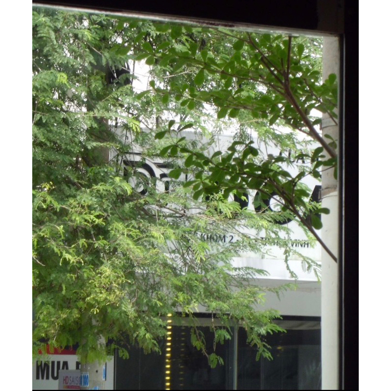 Máy ảnh digital Casio Exilim EX-ZS5 nhỏ xinh màu ảnh vintage