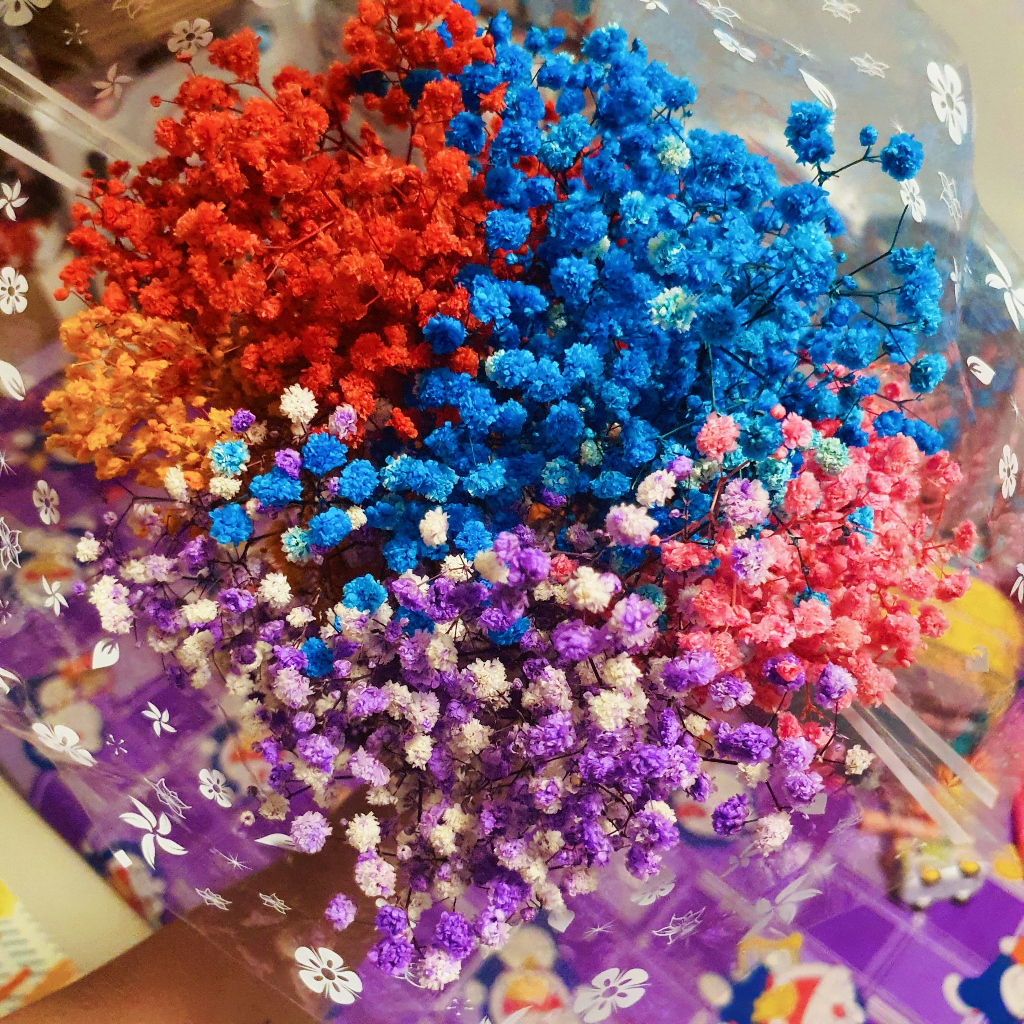 Hoa khô trang trí hoa babi khô hoa ba by khô hoa khô ba by hoa ba bi khô hoa khô ba bi hoa khô trang trí hoa khô decor