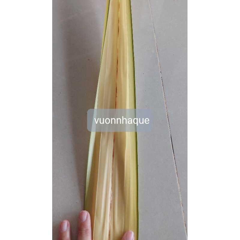 50 Lá dừa nước non, dài khoảng 1m-1m2  -mua 100 lá tặng 15 lá