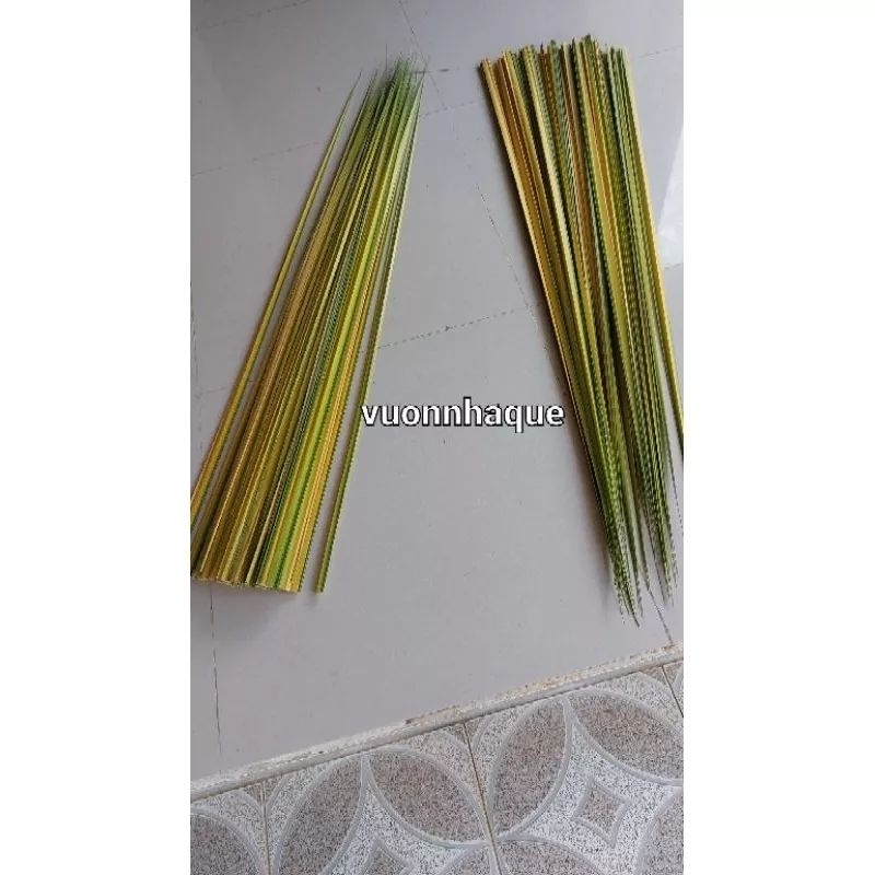 50 Lá dừa nước non, dài khoảng 1m-1m2  -mua 100 lá tặng 15 lá