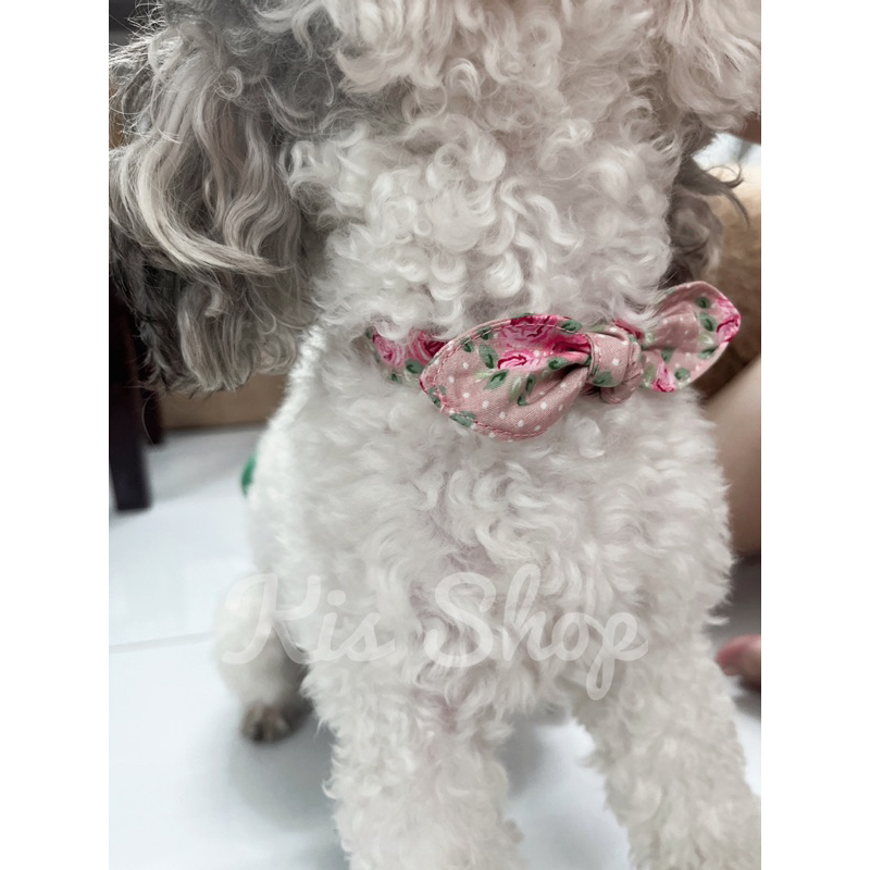 Vòng cổ nơ cho thú cưng