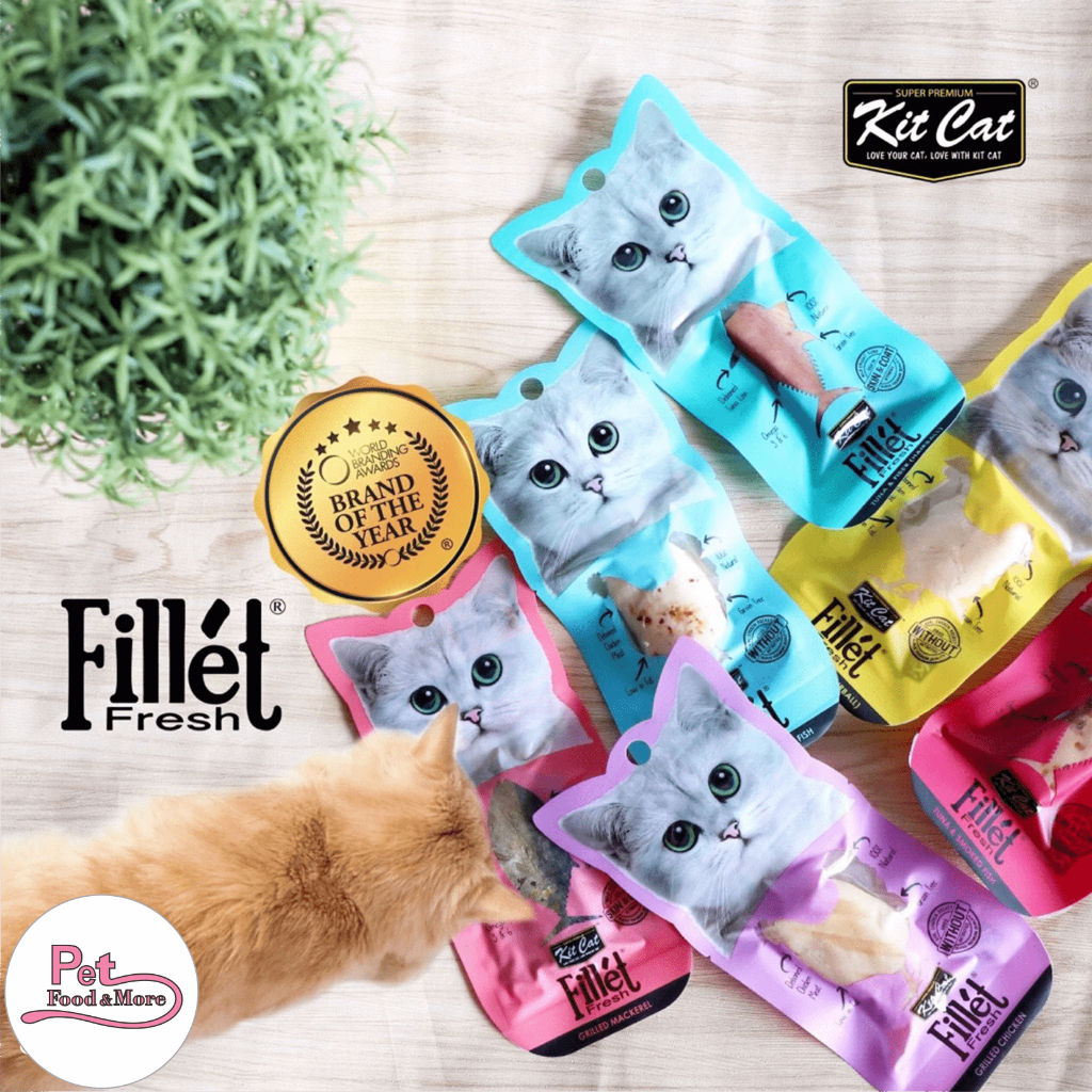 Kitcat Fresh Fillet 30gr - Thịt Tươi Giàu Dinh Dưỡng Cho Mèo