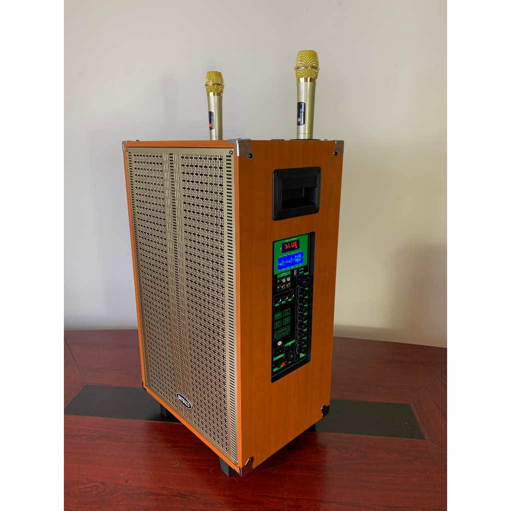 Loa Kéo Karaoke Bluetooth 1502 Chính Hãng