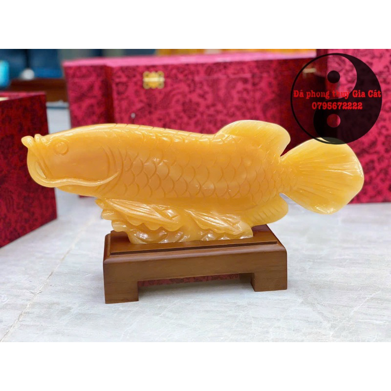 Tượng cá chép rồng ngọc hoàng long 35 cm dày đẹp kiểm định có hộp