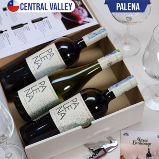 Rượu Vang Chile Palena [Nhập khẩu nguyên chai]