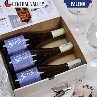 Rượu Vang Chile Palena [Nhập khẩu nguyên chai]