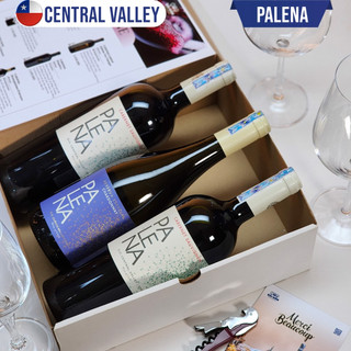 Rượu Vang Chile Palena [Nhập khẩu nguyên chai]