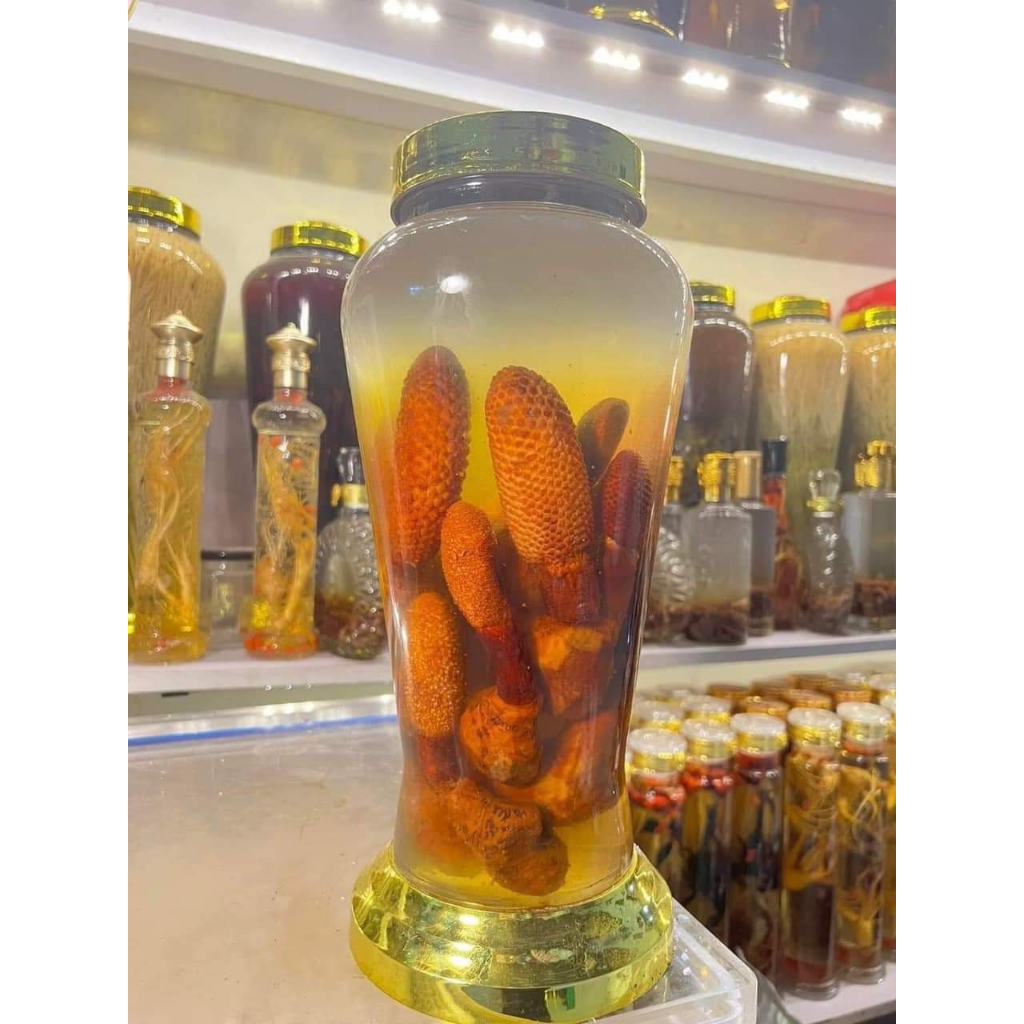 Nấm Tích Dương Tươi  rừng Lai Châu, Tăng cường sinh lực phái mạnh