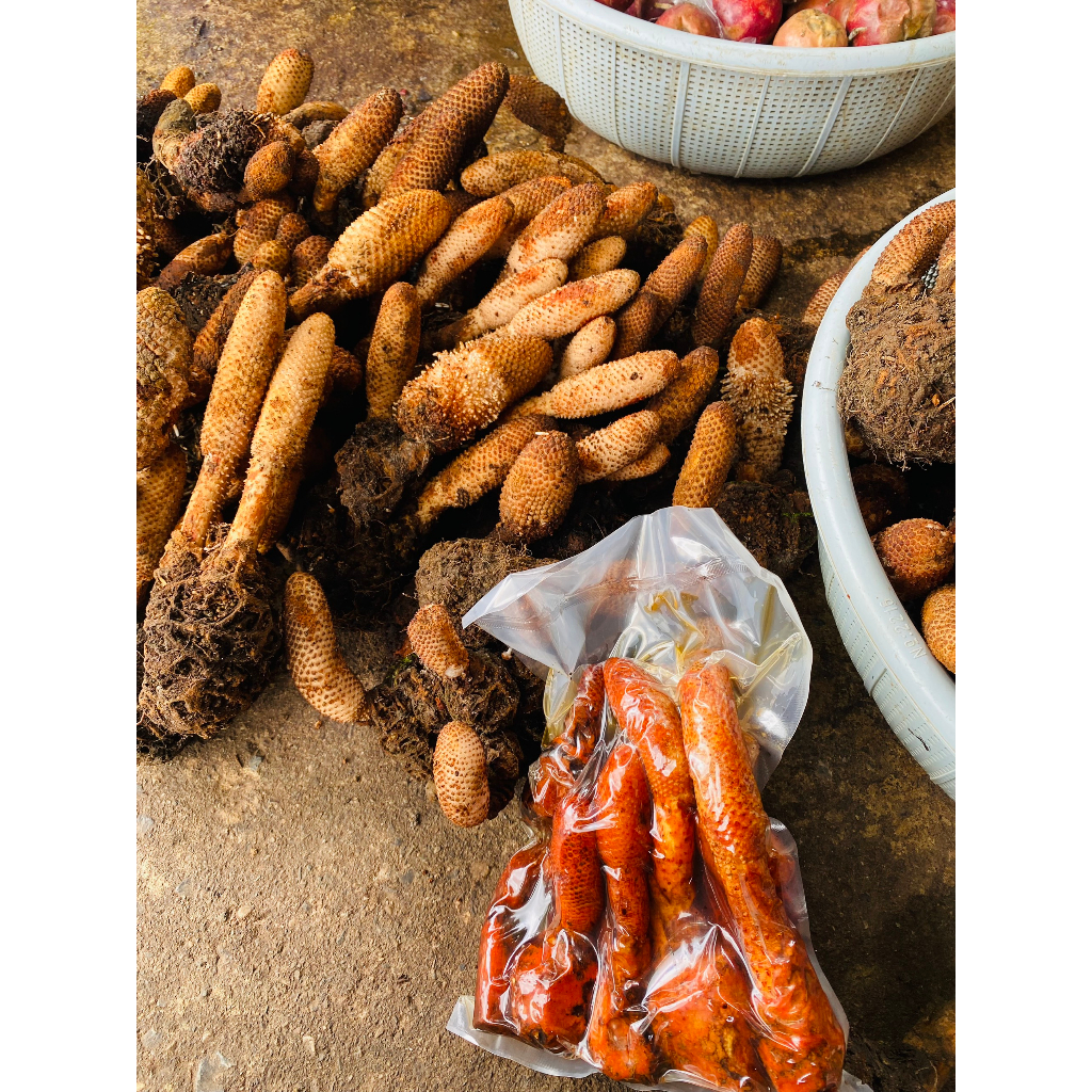 Nấm Tích Dương Tươi  rừng Lai Châu, Tăng cường sinh lực phái mạnh