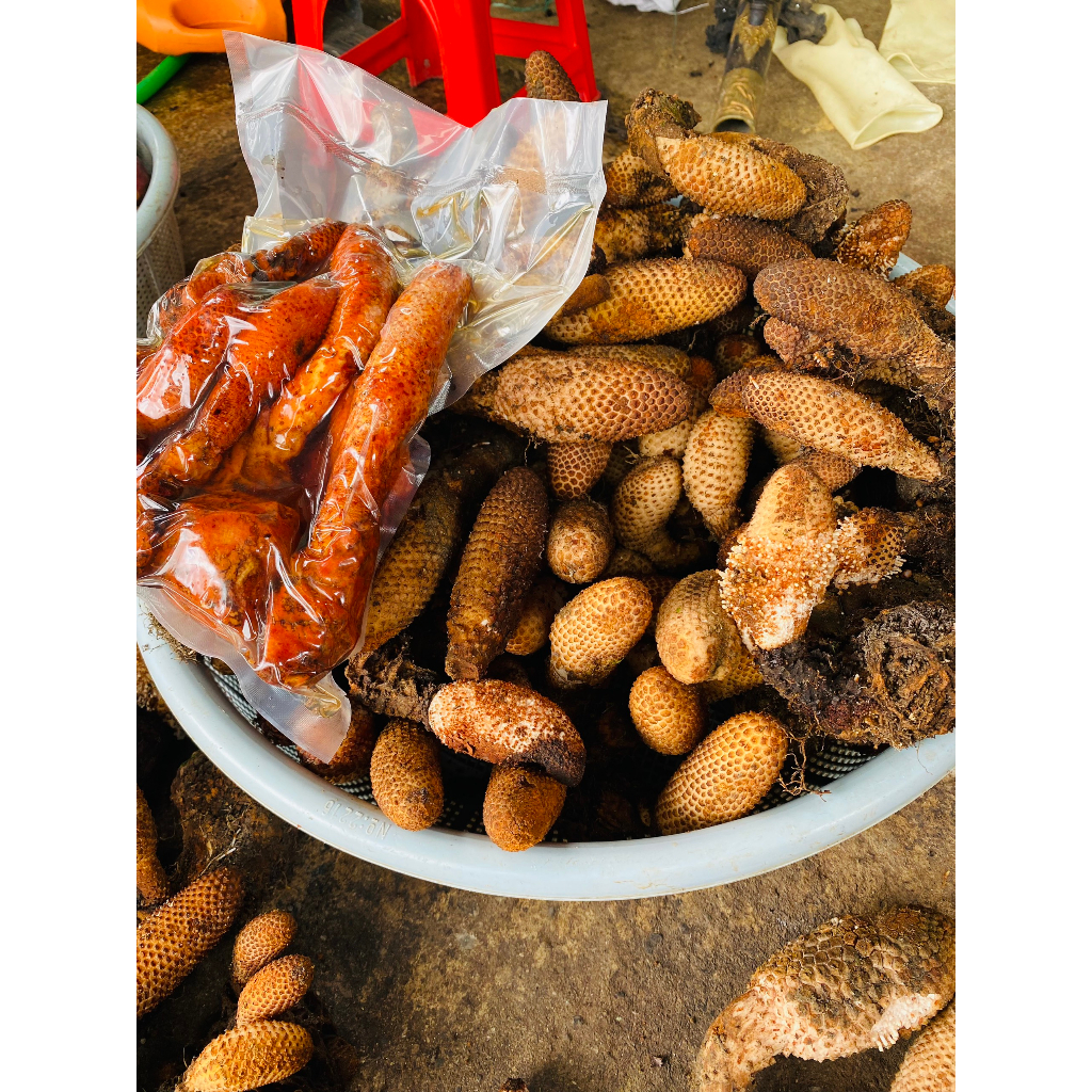 Nấm Tích Dương Tươi  rừng Lai Châu, Tăng cường sinh lực phái mạnh