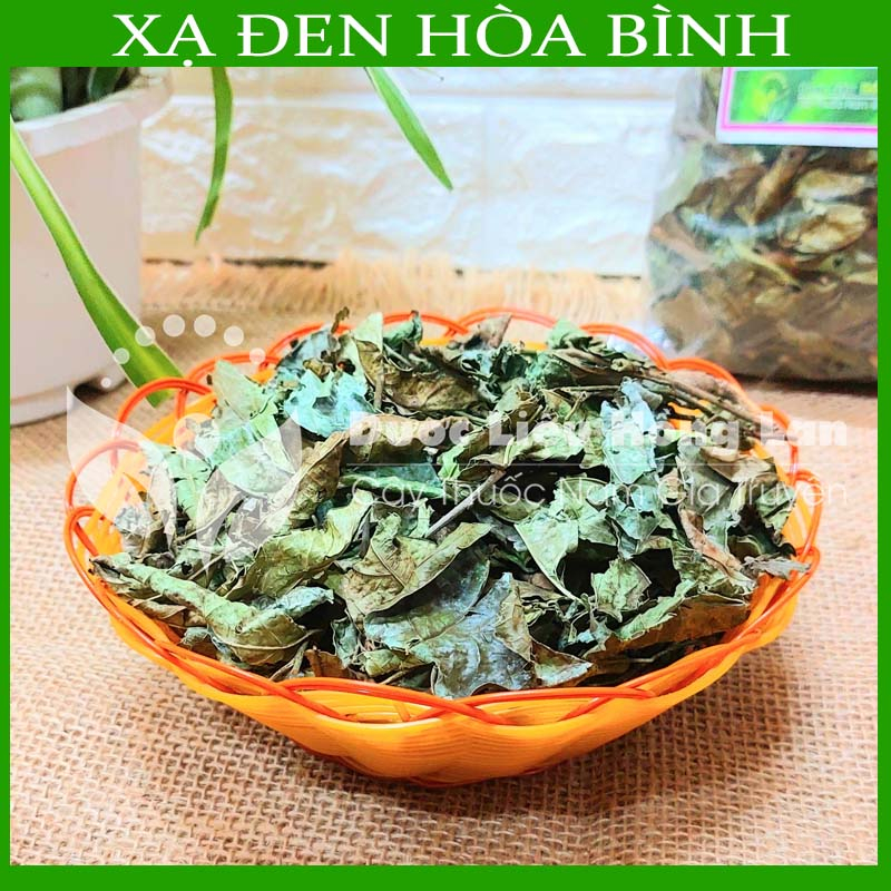Thảo dược CÂY XẠ ĐEN HÒA BÌNH sạch khô đóng gói 500g - congtyduoclieuhonglan