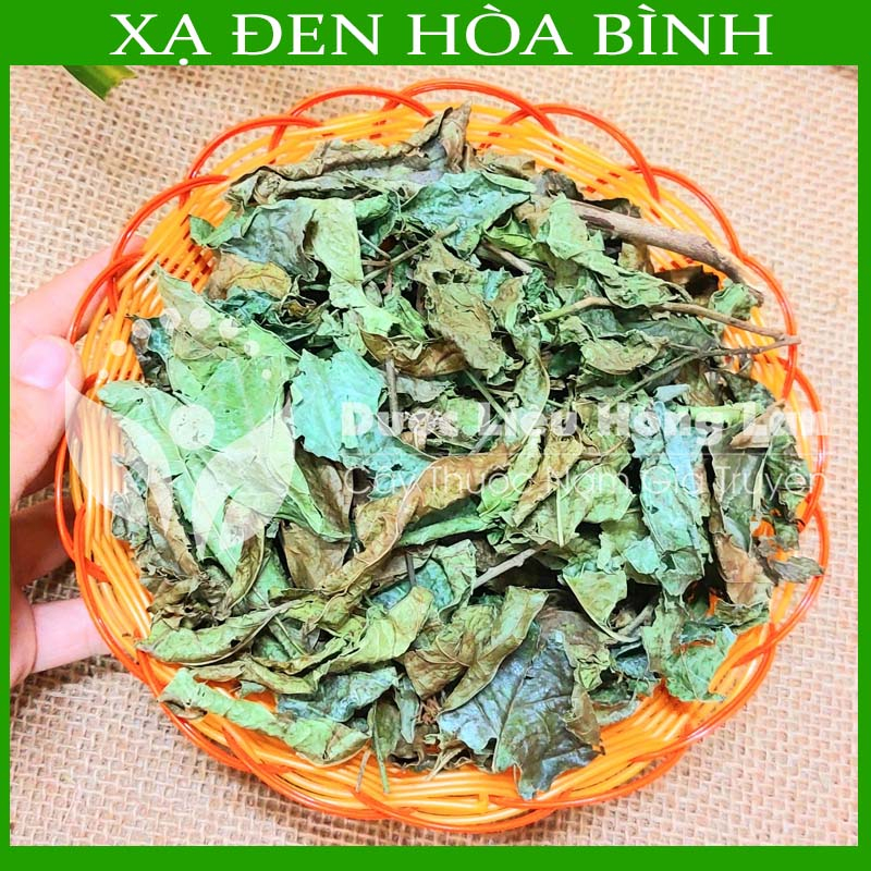 Thảo dược CÂY XẠ ĐEN HÒA BÌNH sạch khô đóng gói 500g - congtyduoclieuhonglan