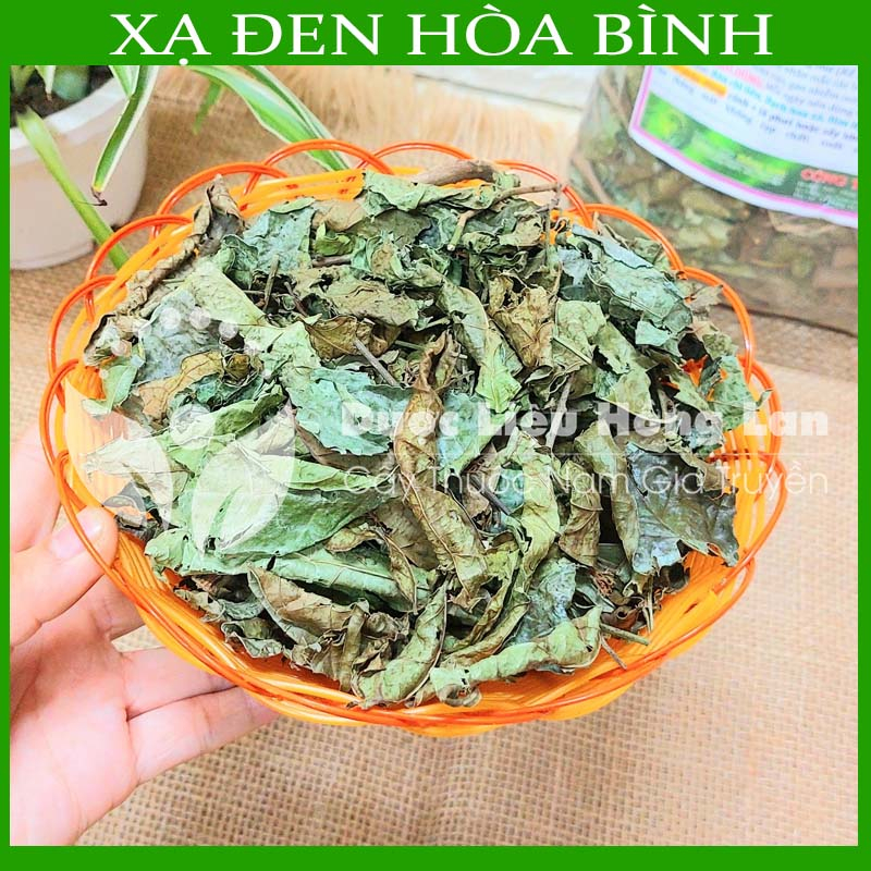 Thảo dược CÂY XẠ ĐEN HÒA BÌNH sạch khô đóng gói 500g - congtyduoclieuhonglan