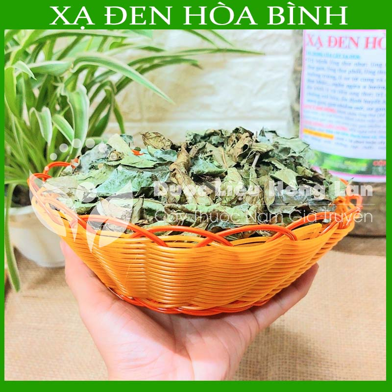 Thảo dược CÂY XẠ ĐEN HÒA BÌNH sạch khô đóng gói 500g - congtyduoclieuhonglan