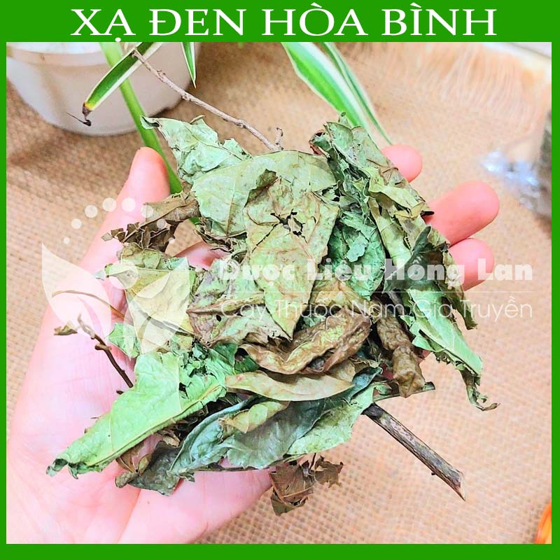 Thảo dược CÂY XẠ ĐEN HÒA BÌNH sạch khô đóng gói 500g - congtyduoclieuhonglan